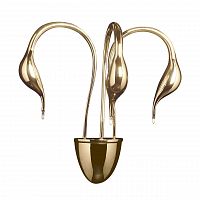 бра lightstar cigno collo 751632 в Туле