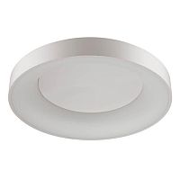 потолочный светодиодный светильник odeon light sole 4062/80cl в Туле