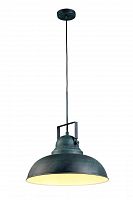 подвесной светильник arte lamp martin a5213sp-1bg в Туле