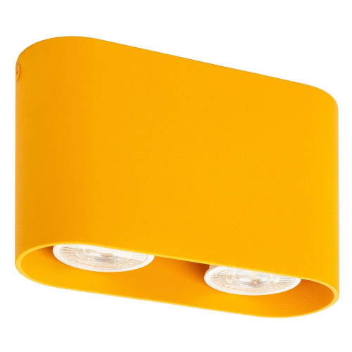 потолочный светильник denkirs dk2006-ye в Туле