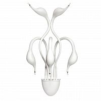 бра lightstar cigno collo wt 751656 в Туле