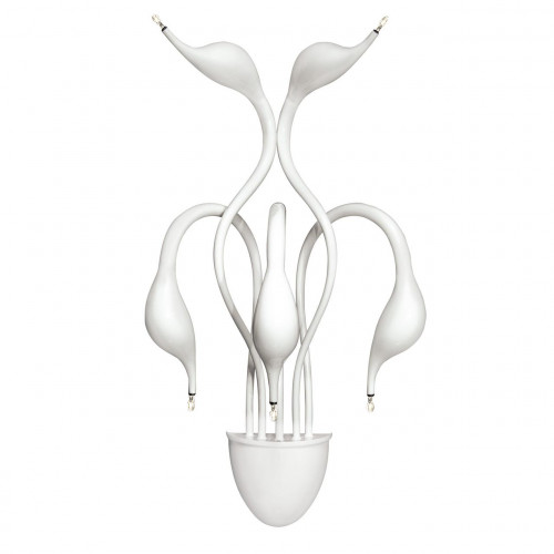 бра lightstar cigno collo wt 751656 в Туле