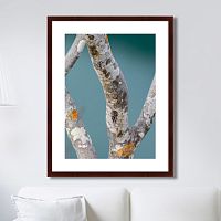 картина: trees on the galapagos islands, ecuador no3 в Туле
