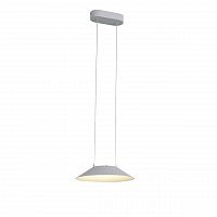 подвесной светодиодный светильник st luce pitto sl427.503.01 в Туле