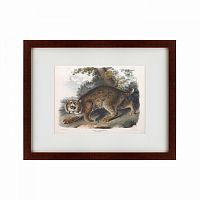 картина: bobcat, 1839 в Туле