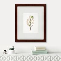 картина: pear tree flowers (pyrus calleryana), 1830 в Туле