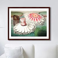 картина: water lily during bloom, 1870г. в Туле
