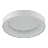 потолочный светодиодный светильник odeon light sole 4062/40cl в Туле