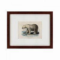 картина: white polar bear on an ice, 1830 в Туле