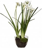 декор allium в Туле