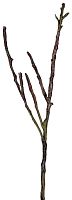 декор dry branches в Туле