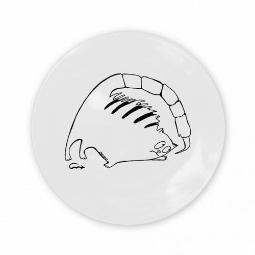 тарелка кот-скорпион в Туле