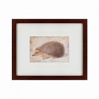 картина: a hedgehog, 1584 в Туле
