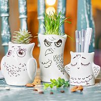 горшки для растений eco совы, 3 шт в Туле
