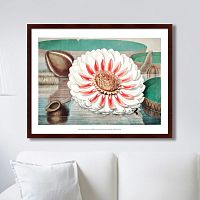 картина: a gigantic water lily in bloom, 1870г. в Туле