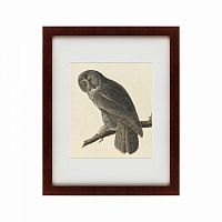 картина: great gray owl, 1834 в Туле