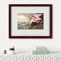 картина: roseate spoonbill, 1827 в Туле
