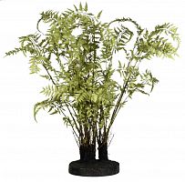 декор ferns в Туле