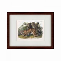 картина: jaguar, 1841 в Туле