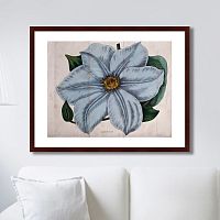 картина: exotic plants of the world №13, 1815г. в Туле