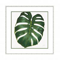 постер monstera зеленый в Туле