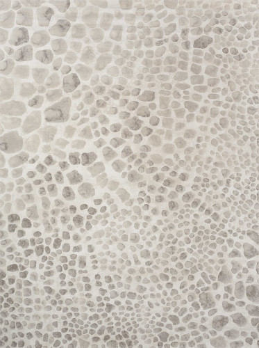 ковер ivory 64227i6575 120x170 в Туле
