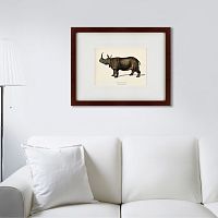 картина: rhinoceros ancienne gravure, 1849 в Туле