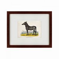 картина: a zebra, 1830 в Туле