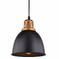 подвесной светильник arte lamp eurica a4245sp-1bk в Туле