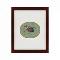 картина: spider, 1690 в Туле