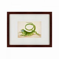 картина: green iguana, 1701 в Туле