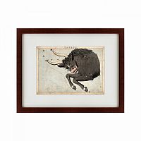 картина: signs of zodiac taurus, 1825 в Туле