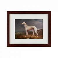 картина: portrait of a greyhound, 1744 в Туле