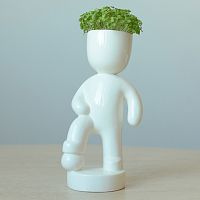 набор для выращивания eco футболист в Туле