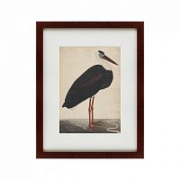 картина: black stork in a landscape, индия, 1780 в Туле