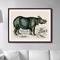 картина: rhinoceros, 1774г. в Туле