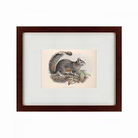 картина: the squirrel, 1879 в Туле