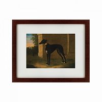 картина: portrait of a greyhound called pompon, 1746 в Туле