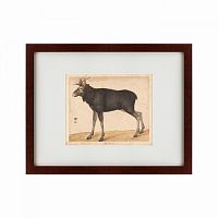 картина: moose, 1560 в Туле