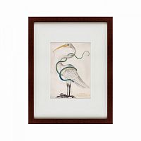 картина: heron encircled by a snake, 1700 в Туле