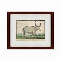 картина: cape ox, 1778 в Туле