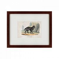 картина: a caracal or lynx, 1830 в Туле