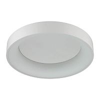 потолочный светодиодный светильник odeon light sole 4062/50cl в Туле