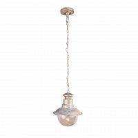 уличный подвесной светильник arte lamp amsterdam a1523so-1wg в Туле
